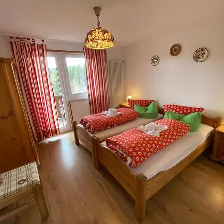 Frei 1 شقة هينترتزارتن