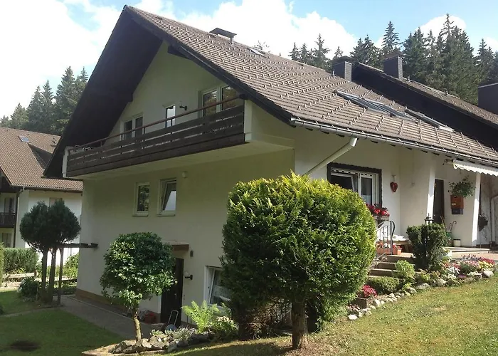 Lejlighed Frei 1 Hinterzarten